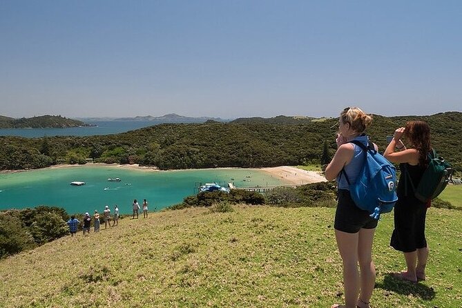 Bay of Islands Half-Day Cruise From Paihia or Russell - Customer Reviews