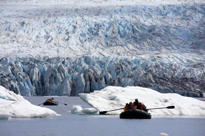 Bears, Trains & Icebergs Tour - Professionalism & Organization