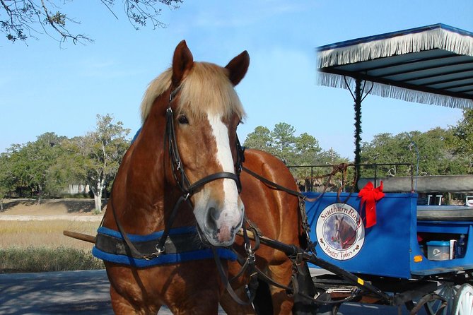 Beaufort Small-Group Historic Horse-Drawn Carriage Tour  - Hilton Head Island - Common questions