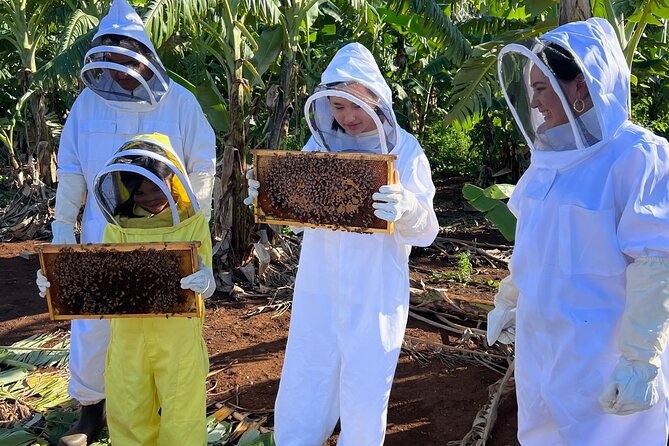 Bee Farm Ecotour and Honey Tasting in Waialua, North Shore Oahu - Traveler Assistance