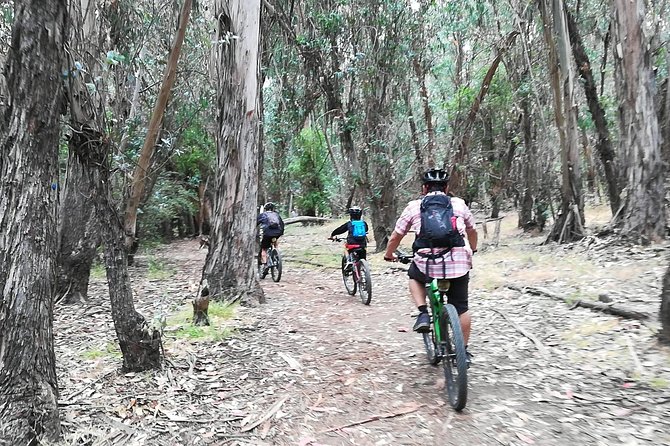 Beginner or Intermediate Mountain Bike Tour of Santa Barbara - Additional Information and Requirements