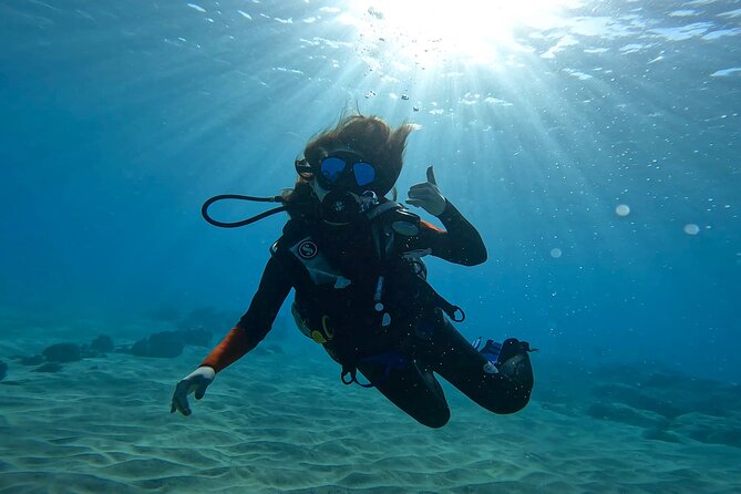 Beginner Scuba Experience With Free Video Package - Honolulu - Customer Feedback