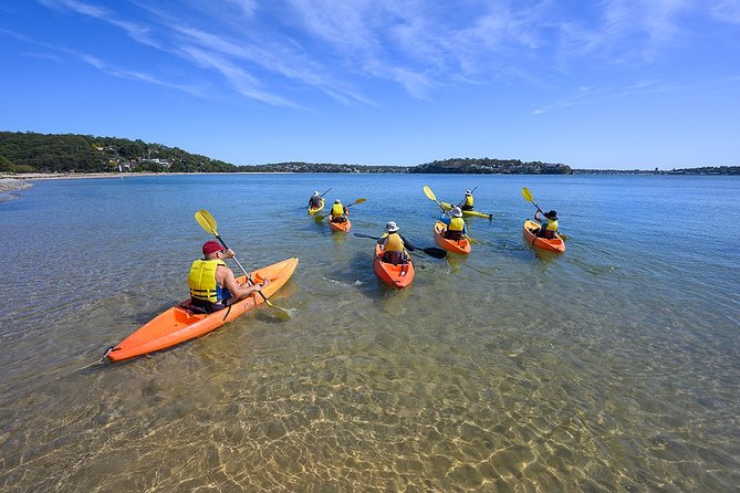 Beginners Kayak Tour in Sydney - Gorgeous Aussie Beaches and Bays - Additional Info