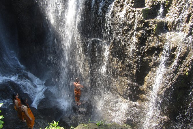 Beji Griya Waterfall and Shaman Visit  - Ubud - Cleansing Session at Beji Griya Waterfall