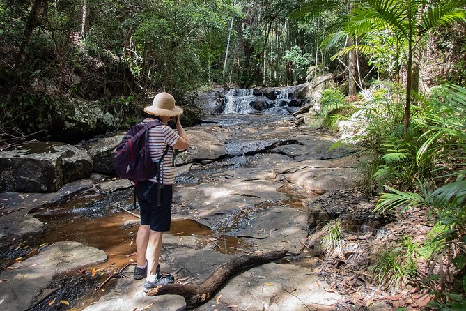 Bellthorpe Rainforest Private Tour - Cancellation Policy