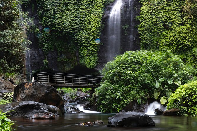 Best Bali Waterfall Private Tour - Inclusions and Exclusions