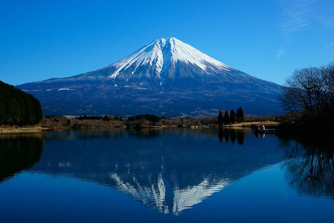 Best Mt Fuji and Hakone Full-Day Bus Tour From Tokyo - Booking Information