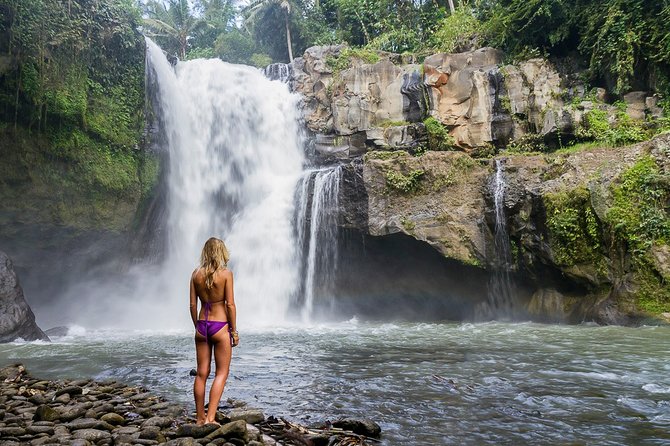 Best of Central Bali: Waterfall, Elephant Cave & Rice Fields - Insider Tips for Travelers