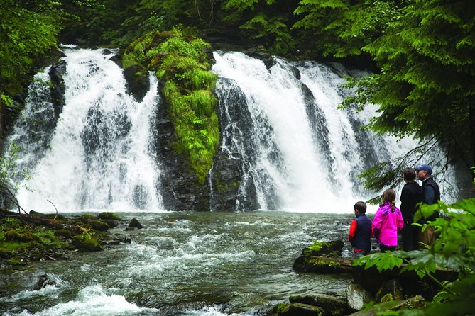 Best of Juneau: Mendenhall Glacier, Whale Watching and Salmon Bake - Specific Experiences and Sightings