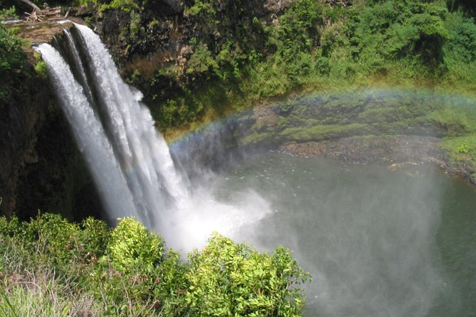 Best of Kauai Tour by Land and River - Positive Experiences