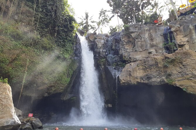 Best of Ubud With Jungle Swing - Pricing Details