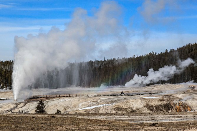 Best of Yellowstone Private National Park Safari Tour - Customer Feedback