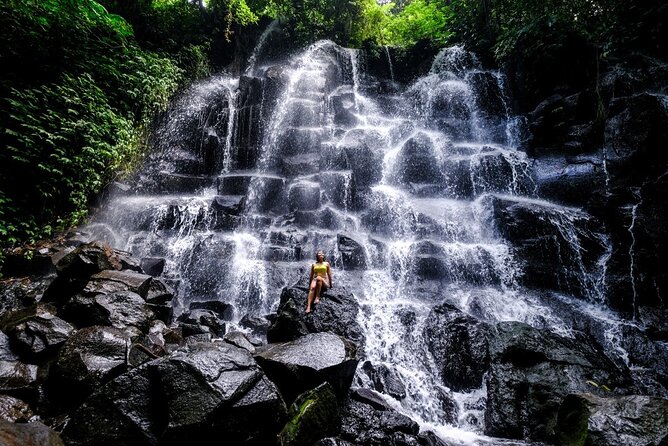 Best Private Day Tours of Ubud - Expert Local Guides and Insights