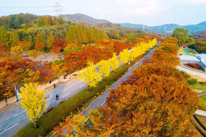 Best View Seoul Autumn Foliage Tour - Seasonal Foliage Spots