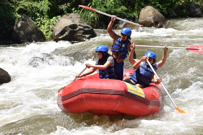 Best White Water Rafting, Ubud - Pricing and Booking