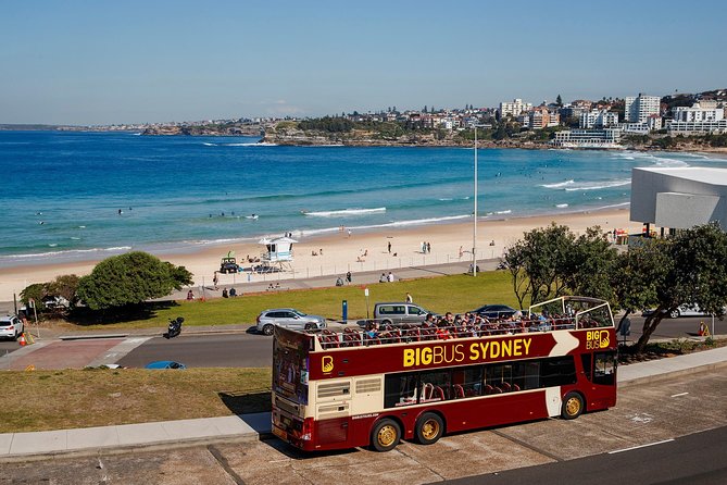Big Bus Sydney and Bondi Hop-on Hop-off Tour - Tour Experience