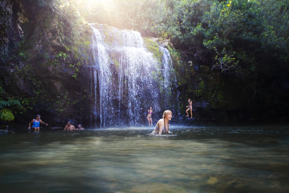 Big Island: Full Day Adventure Tour of the Kohala Waterfalls - Customer Reviews