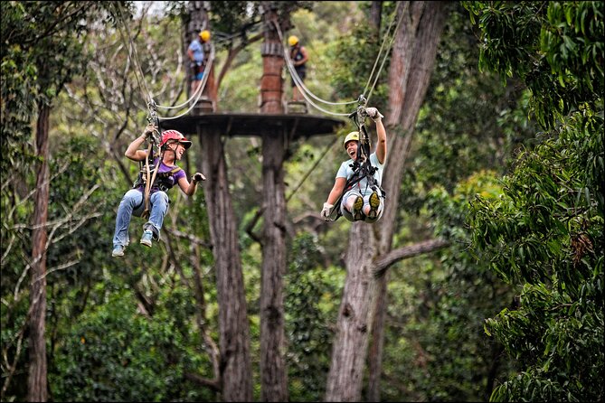 Big Island Kohala Zip and Dip Tour From Kona - Cancellation Policy