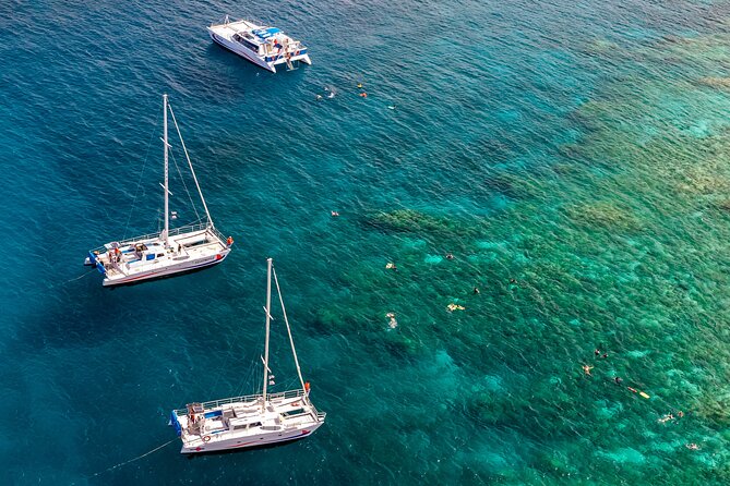 Big Island Snorkel Cruise From Waikoloa - Guest Feedback Insights