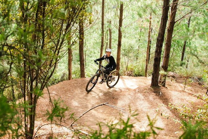 Bike Hire at the Waitangi Mountain Bike Park - Experience Highlights