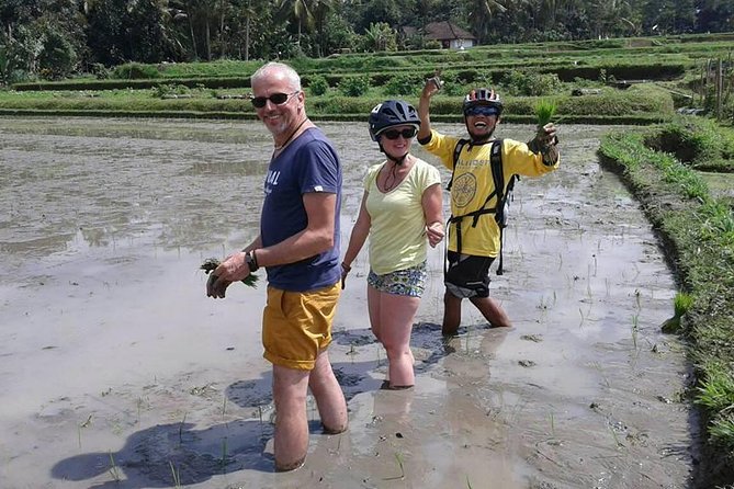 Bike Ride in the Rice Fields, Bali Countryside - Customer Support & Additional Info