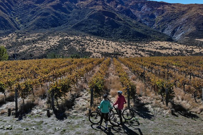 Bike The Wineries Half Day Ride Queenstown - Traveler Feedback and Reviews