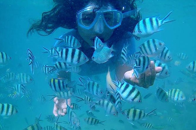 Bintan Private Guided Trikora Beach Snorkeling Trip  - Lagoi - Guest Experiences