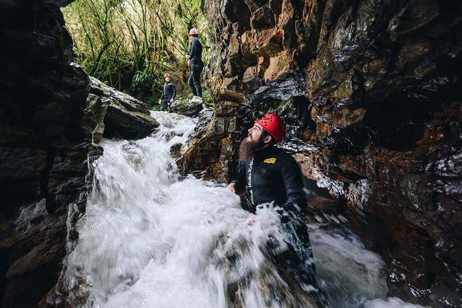 Black Abyss: Ultimate Waitomo Caving - Private Tour From Auckland - Customer Reviews