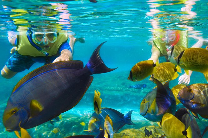 Bloo Lagoon Snorkeling East Bali Includes Transportation & Lunch - Questions and Information