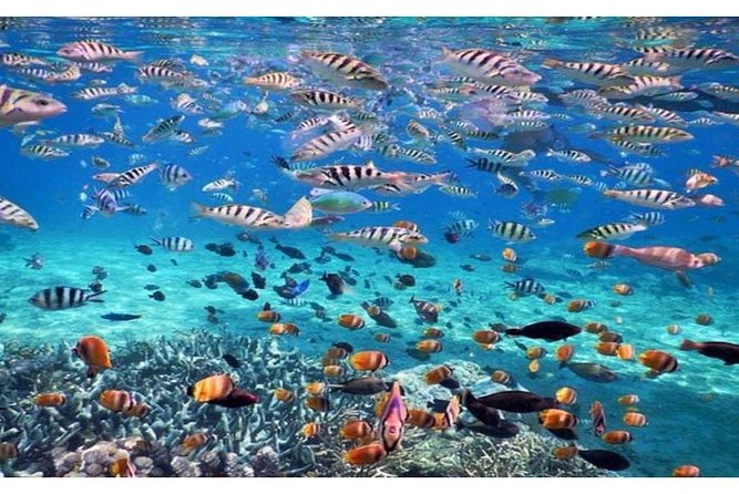 Blue Lagoon Bali Snorkeling Activities All Inclusive - Additional Information