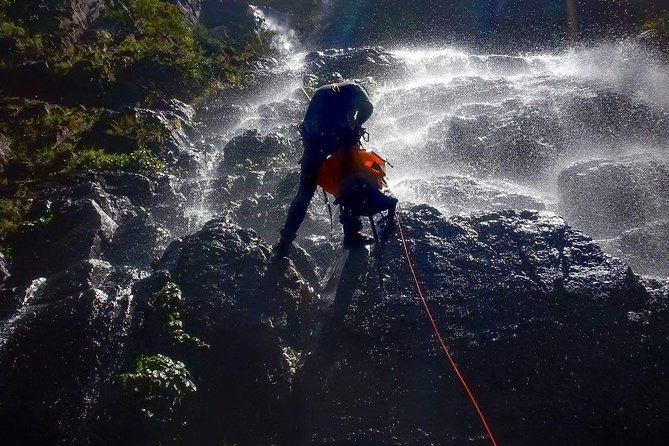 Blue Mountains and Empress Canyon Abseiling Adventure Tour - Participant Requirements