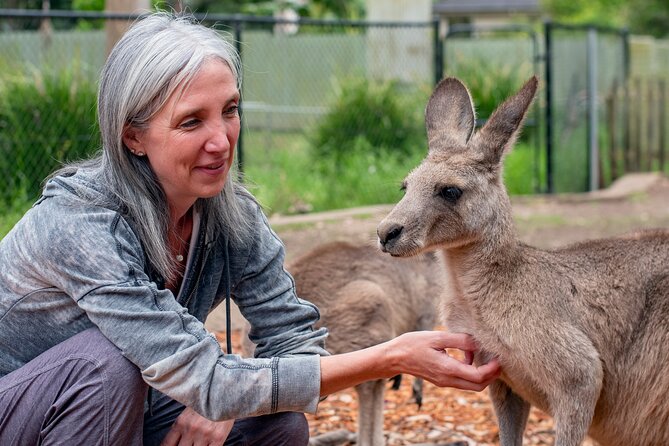 Blue Mountains Big Day Out - Private Tour - Customer Testimonials