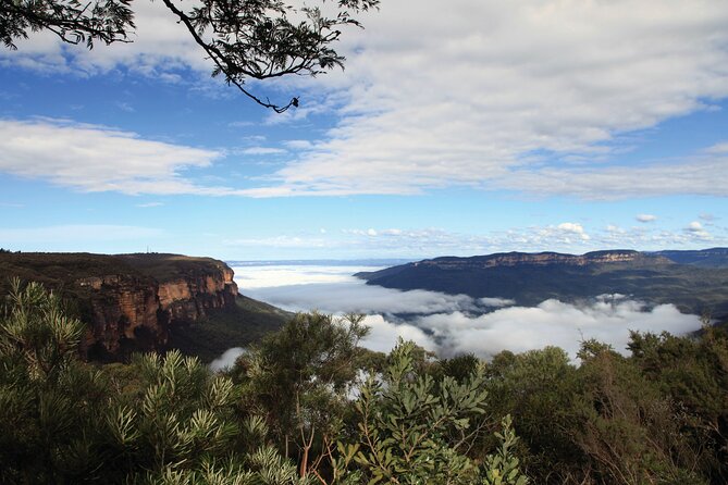 Blue Mountains Carbon Neutral Day Trip From Sydney - Key Highlights and Stops