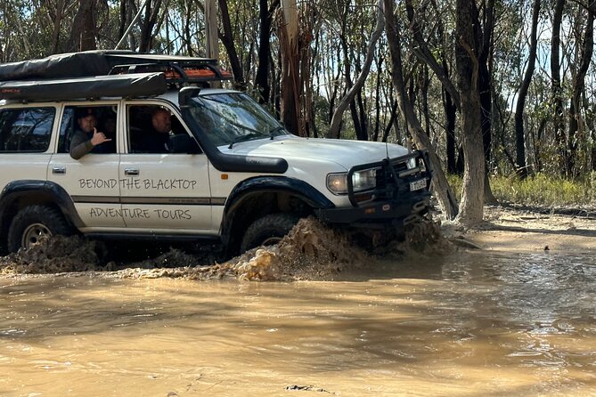 Blue Mountains Full Day Guided Tour - Customer Reviews