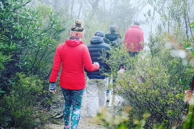 Blue Mountains Private Hiking Tour From Sydney - Inclusions and Exclusions