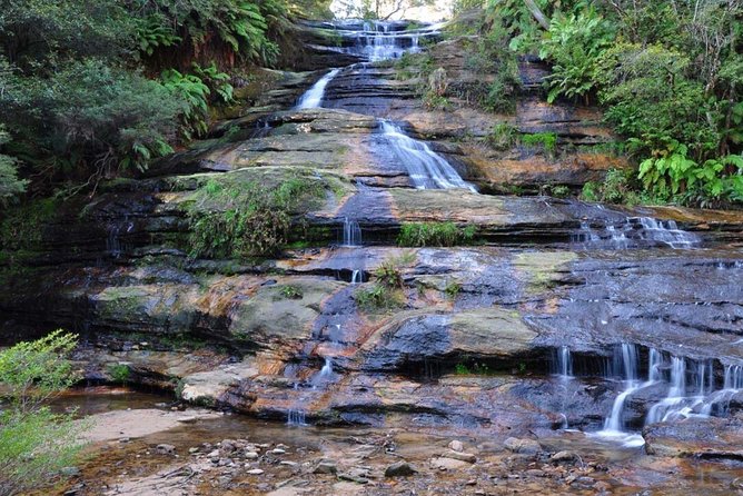 Blue Mountains Private Sightseeing Tours - Traveler Assistance Services