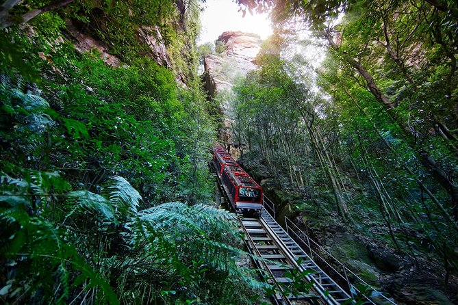 Blue Mountains Small-Group Tour From Sydney With Scenic World,Sydney Zoo & Ferry - Tour Highlights