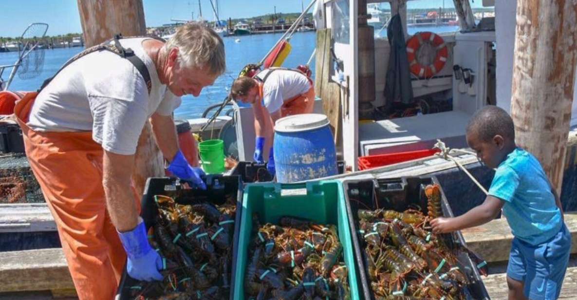 Boston: Kennebunkport Day Trip With Optional Lobster Tour - Additional Information for Participants