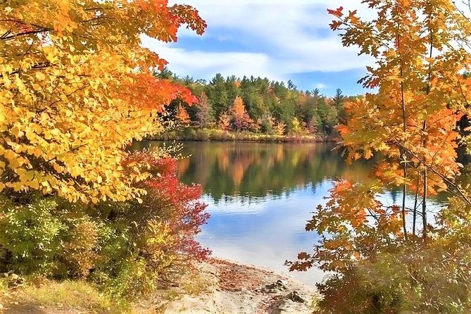 Boston to New Hampshire Fall Foliage White Mountains Day Trip - Customer Reviews and Experiences