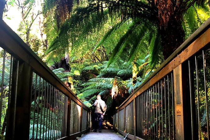 Boutique All-Inclusive Great Ocean Road, 12 Apostles and Rainforest Experience - Meet the Award-Winning Guides