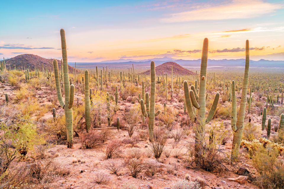 Box Canyon and Pinal Mountains Half-Day ATV Tour - Activity Highlights