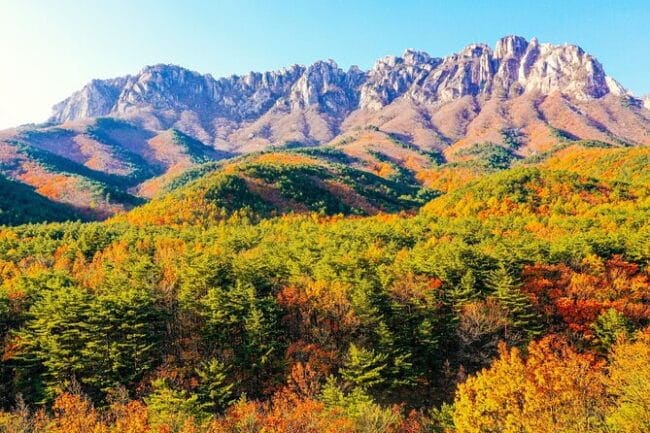 Breathtaking Autumn at Seoraksan National Park - Hiking Trails Overview