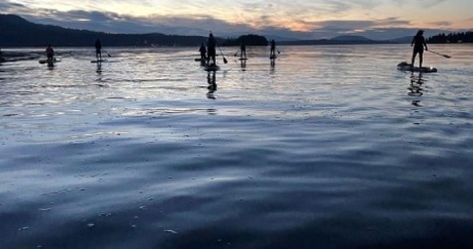 Brentwood Bay: Stand-up Paddleboard Bioluminescence Tour - Common questions