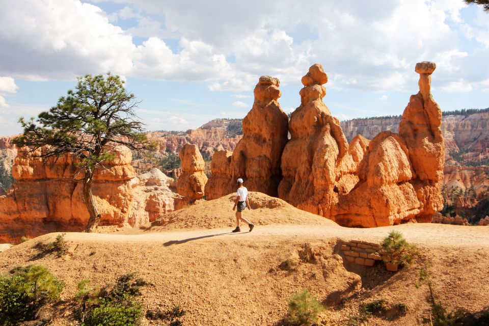 Bryce Canyon & Zion National Park: Private Group Tour - Transportation Details