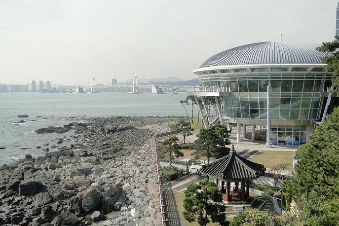 Busan City Tour Including Haedong Yonggungsa Temple And APEC House - Viator Booking Details