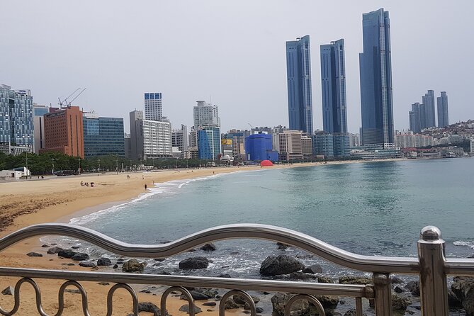 Busan ONE-DAY Highlights for PRIVATE CRUISE PASSENGERS - Tour Experience and Suggestions