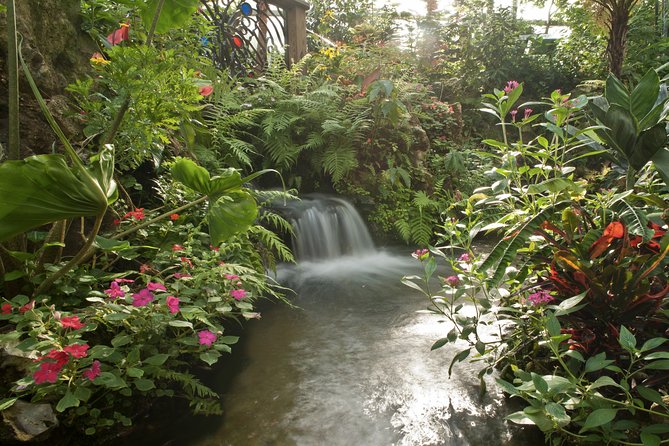 Butterfly Rainforest at Florida Museum of Natural History Ticket - Sum Up