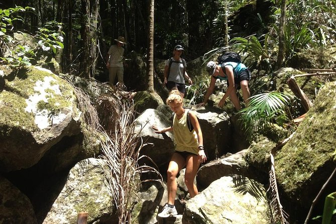 Byron Bay Hinterland Tour Including Rainforest Walk to Minyon Falls - Traveler Feedback