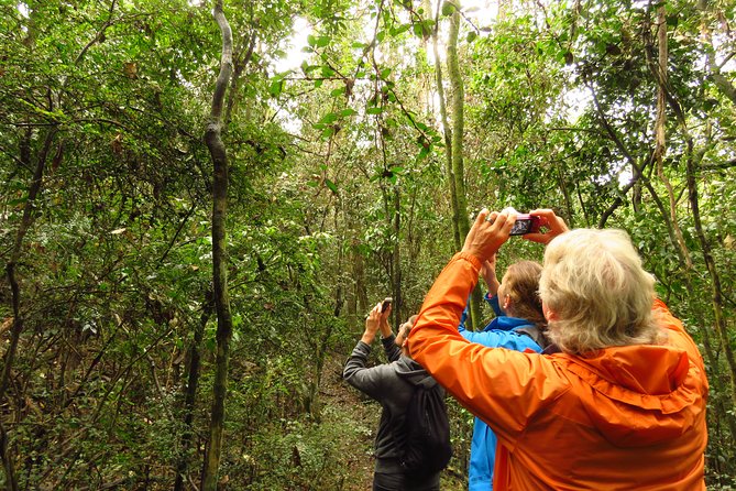 Byron Bay Wildlife Safari - Locally Sourced Picnic