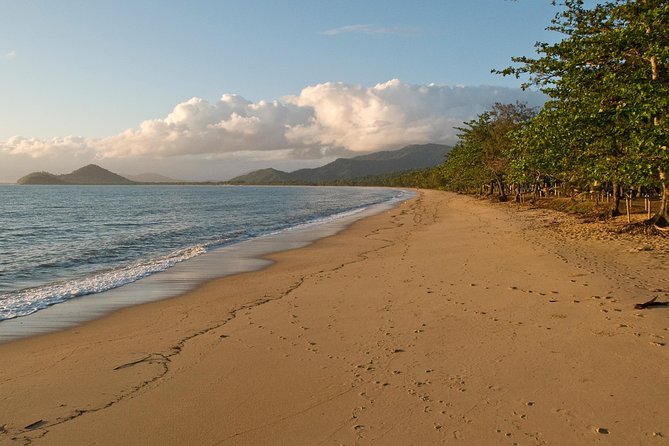 Cairns Reef/Rainforest : Daintree Rainforest & Great Barrier Reef - Customer Reviews